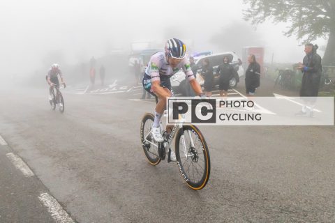 Carrera