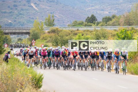Carrera