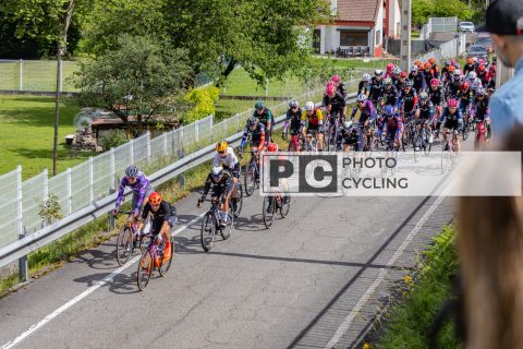 Carrera